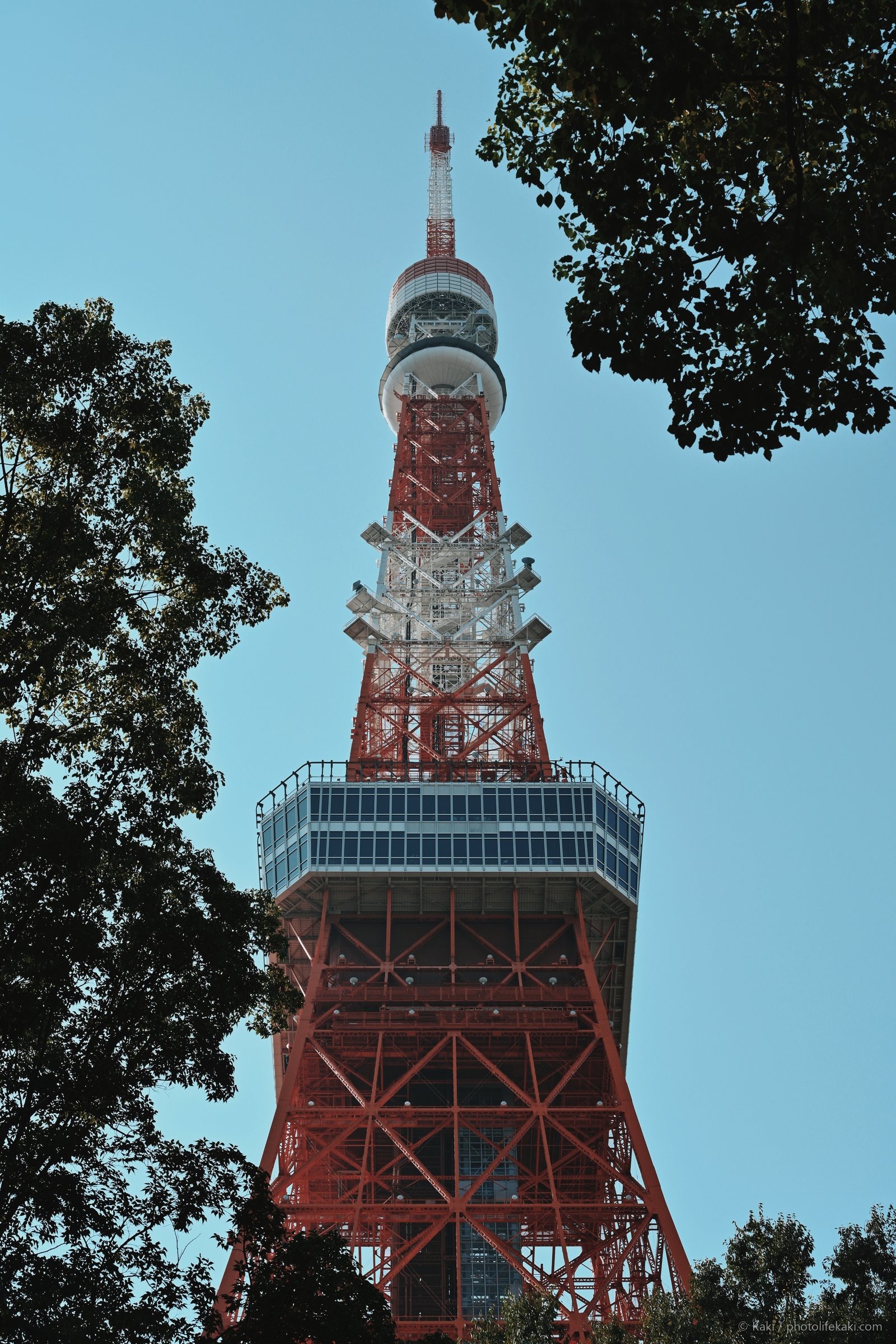 赤い座標 — 009