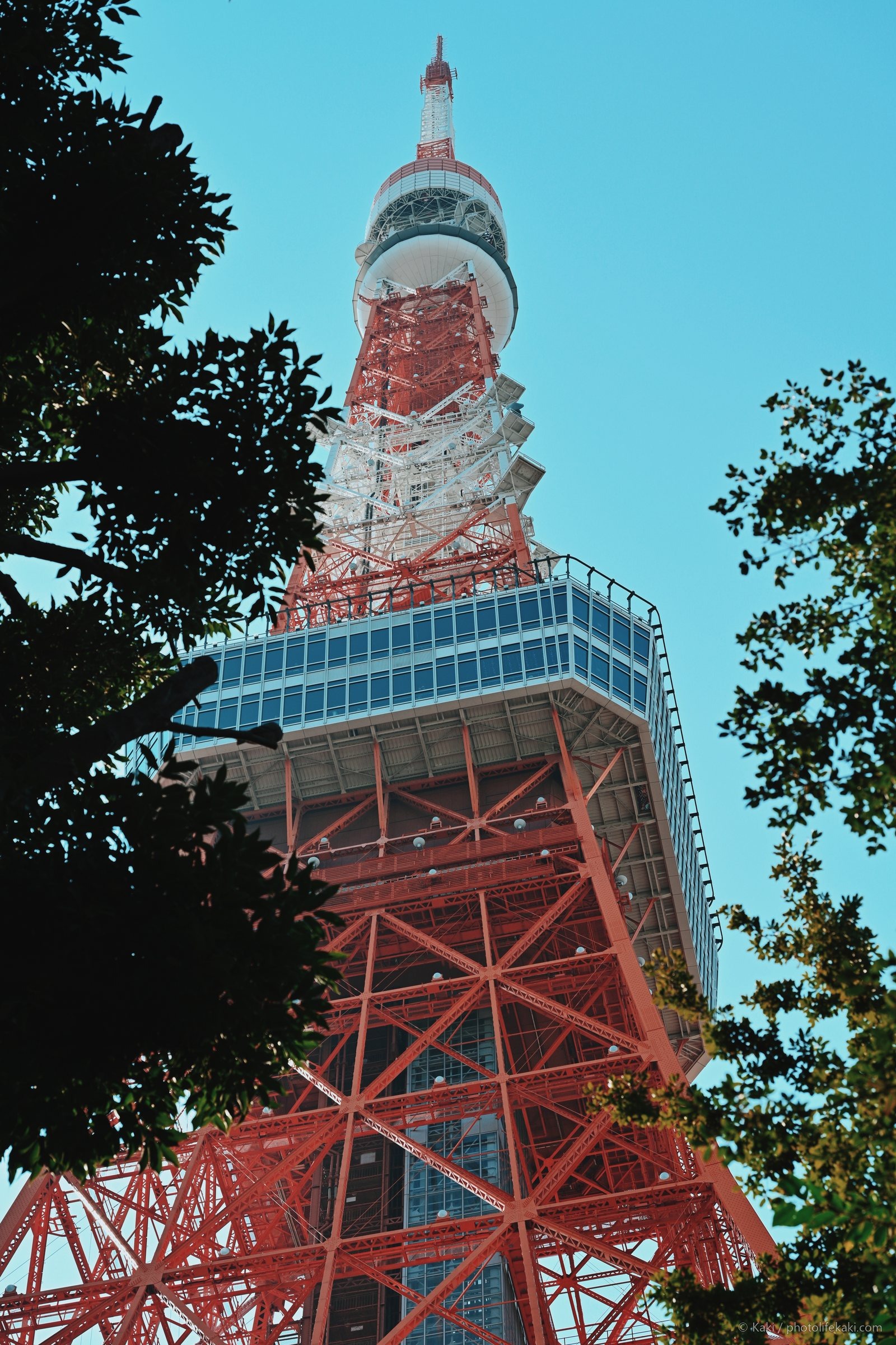 赤い座標 — 011