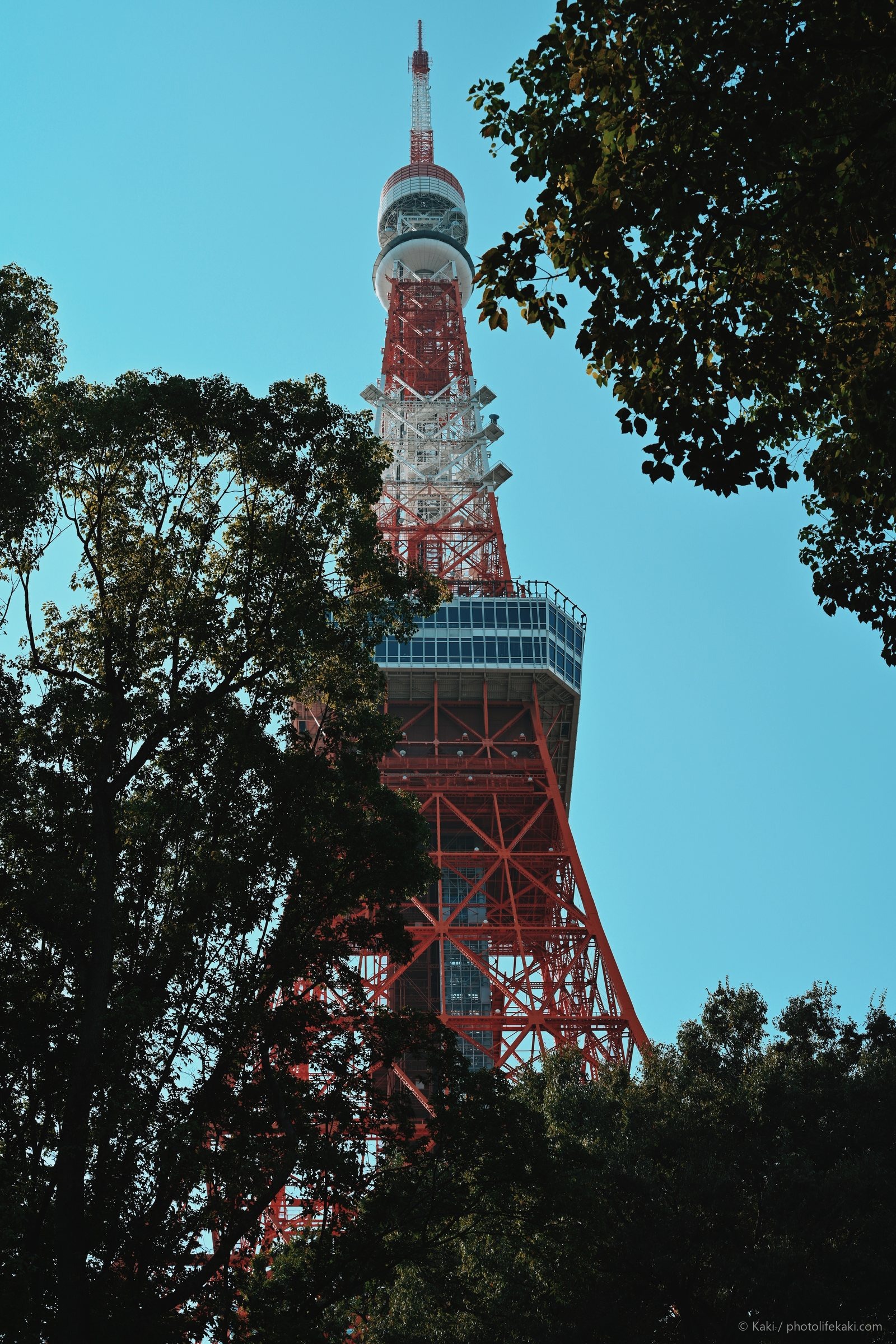 赤い座標 — 020