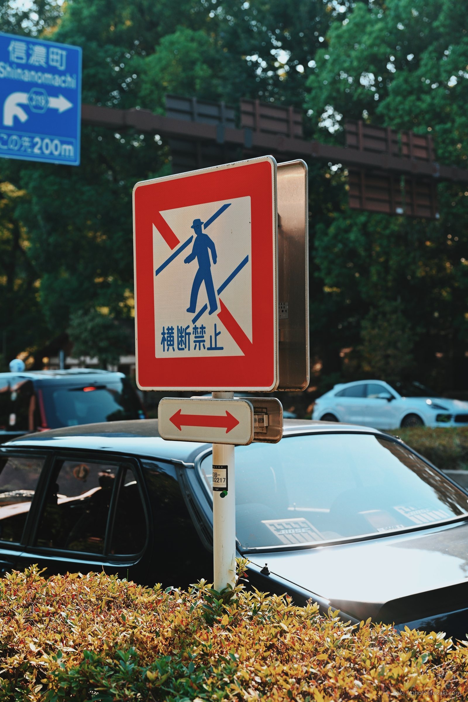 赤い座標 — 021