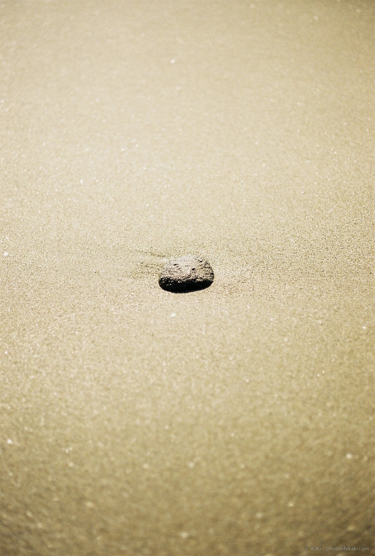 浅草から海辺へ — 011