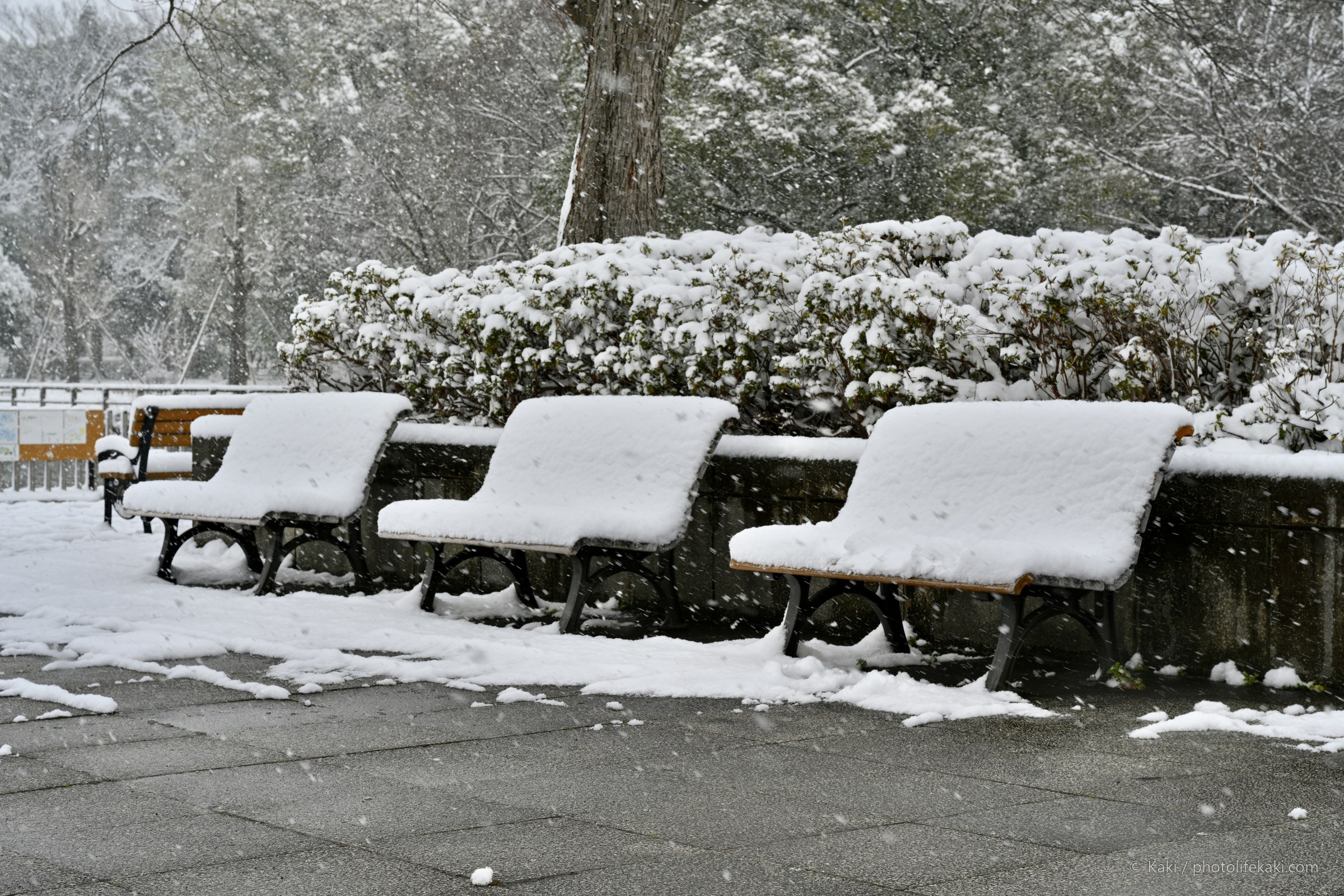 A Letter in Snow — 006