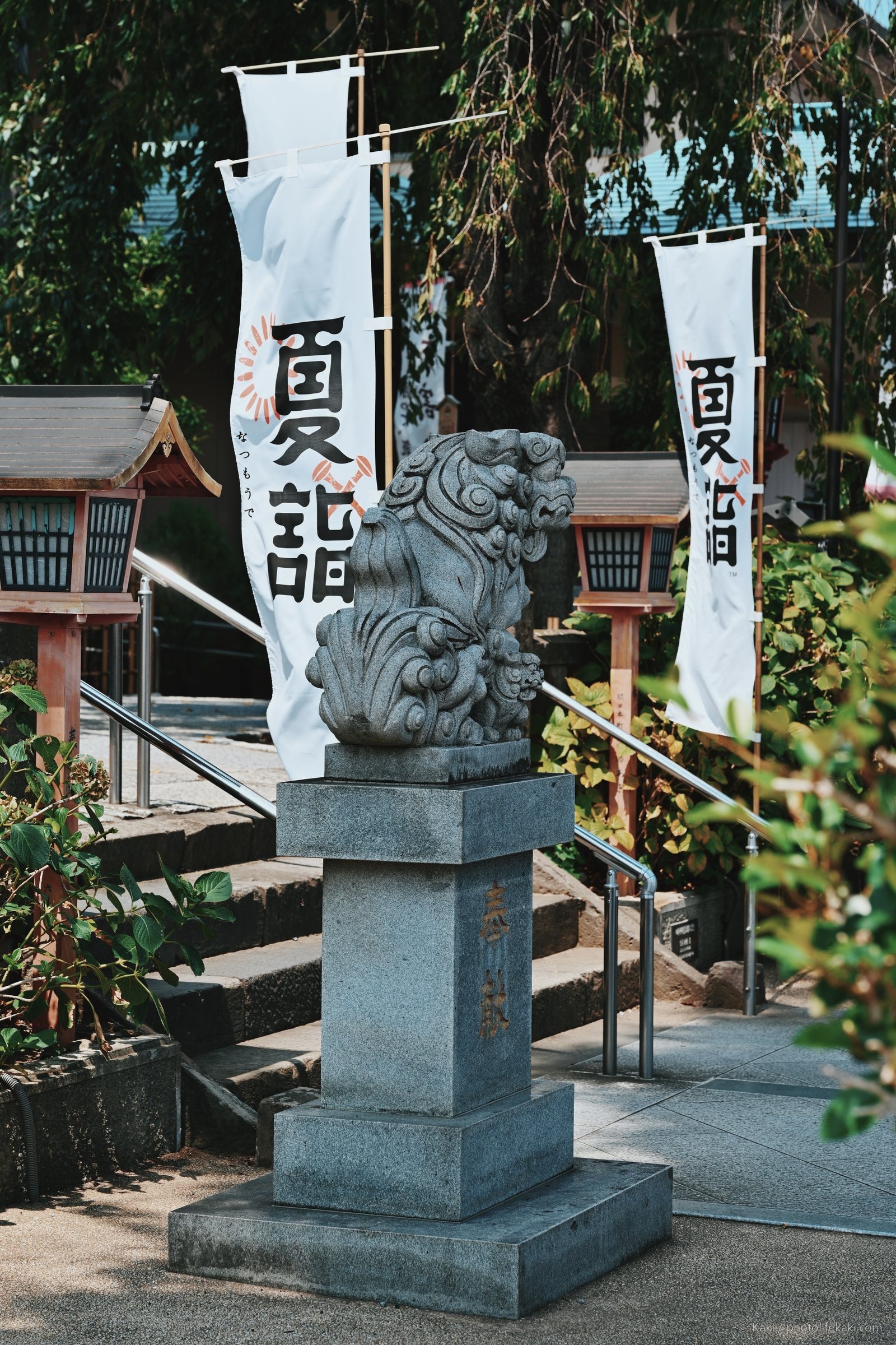 神々の色 — 008