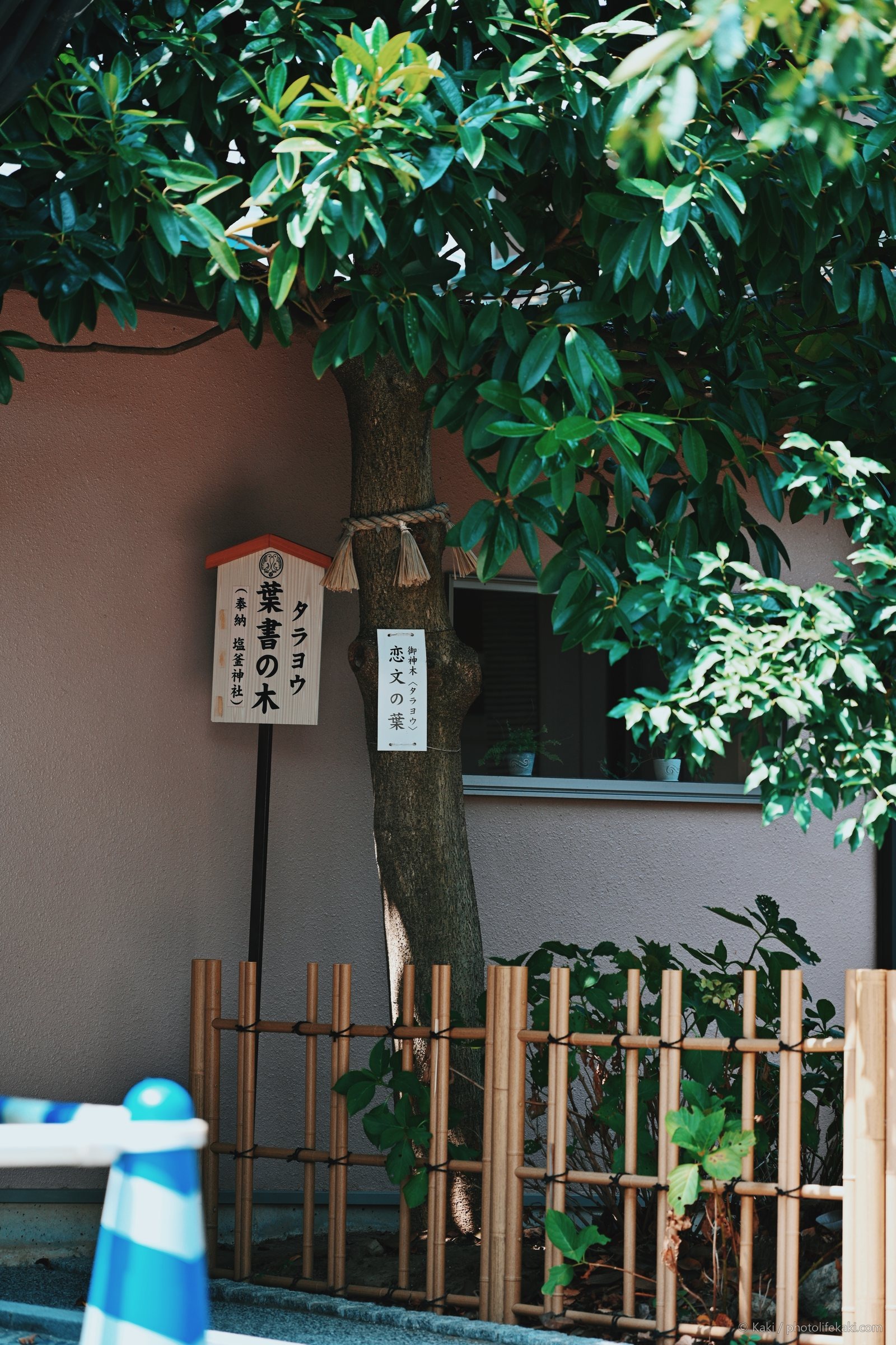 神々の色 — 017