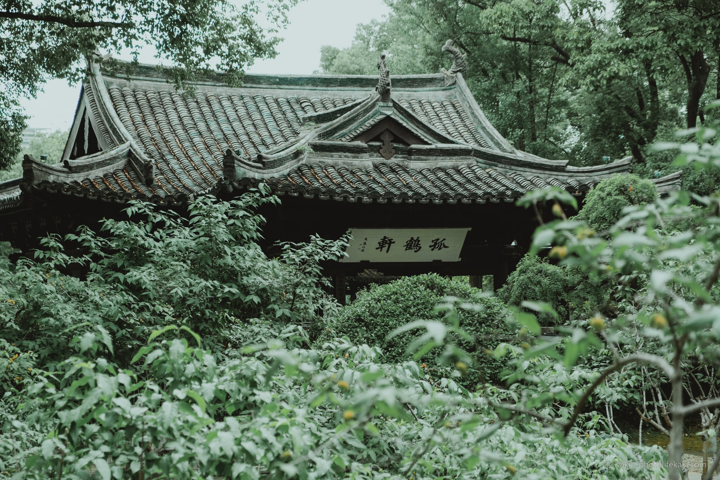 Rain over the Water Lanes — 011