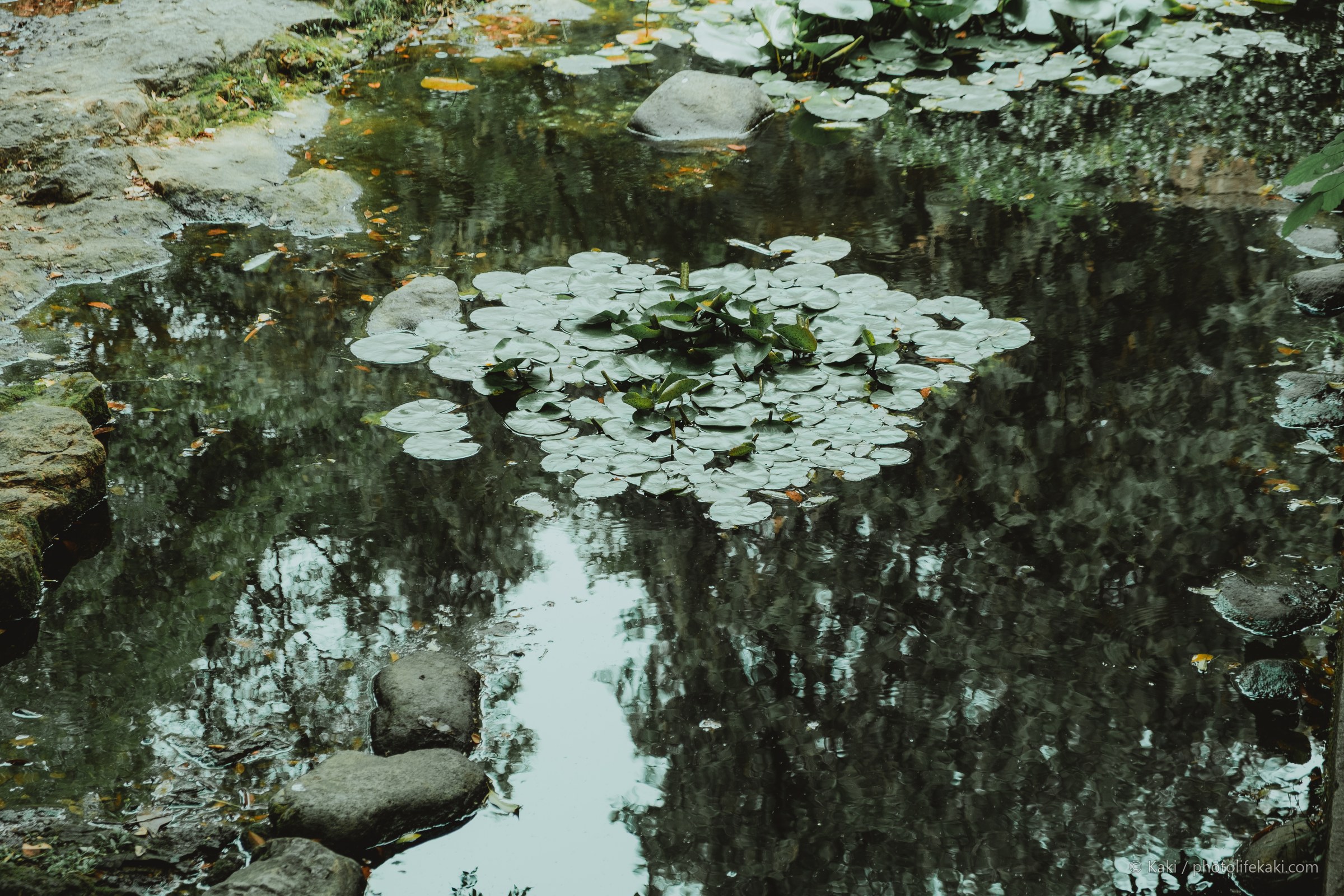 Rain over the Water Lanes — 013