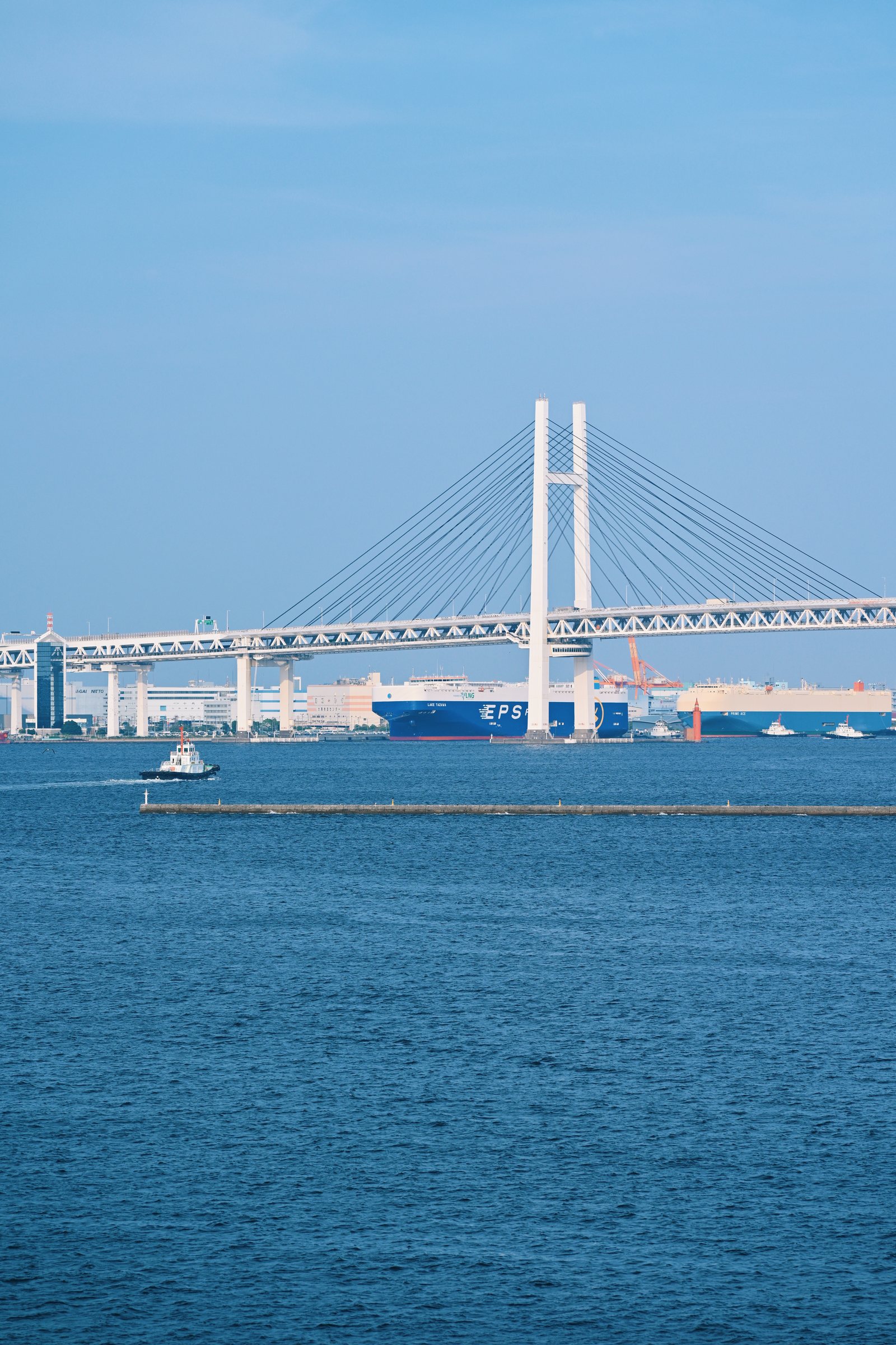 Where the Bridge Ends, the Sea Begins