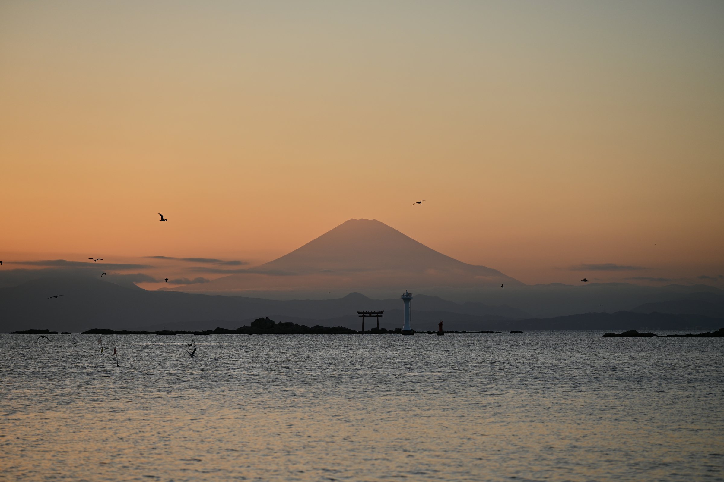 Birds Across Fuji