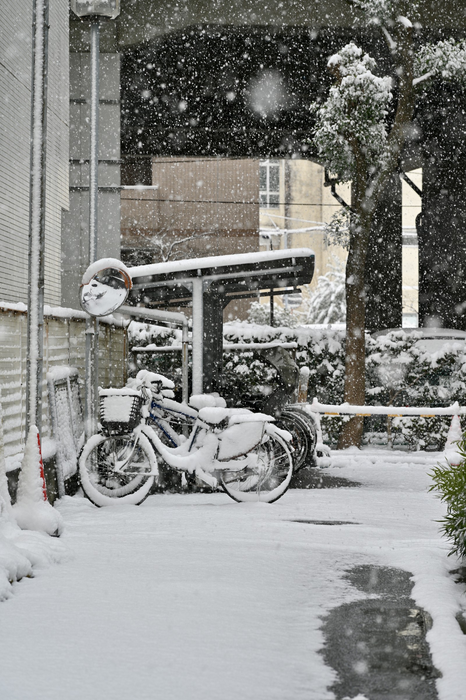 A Letter in Snow